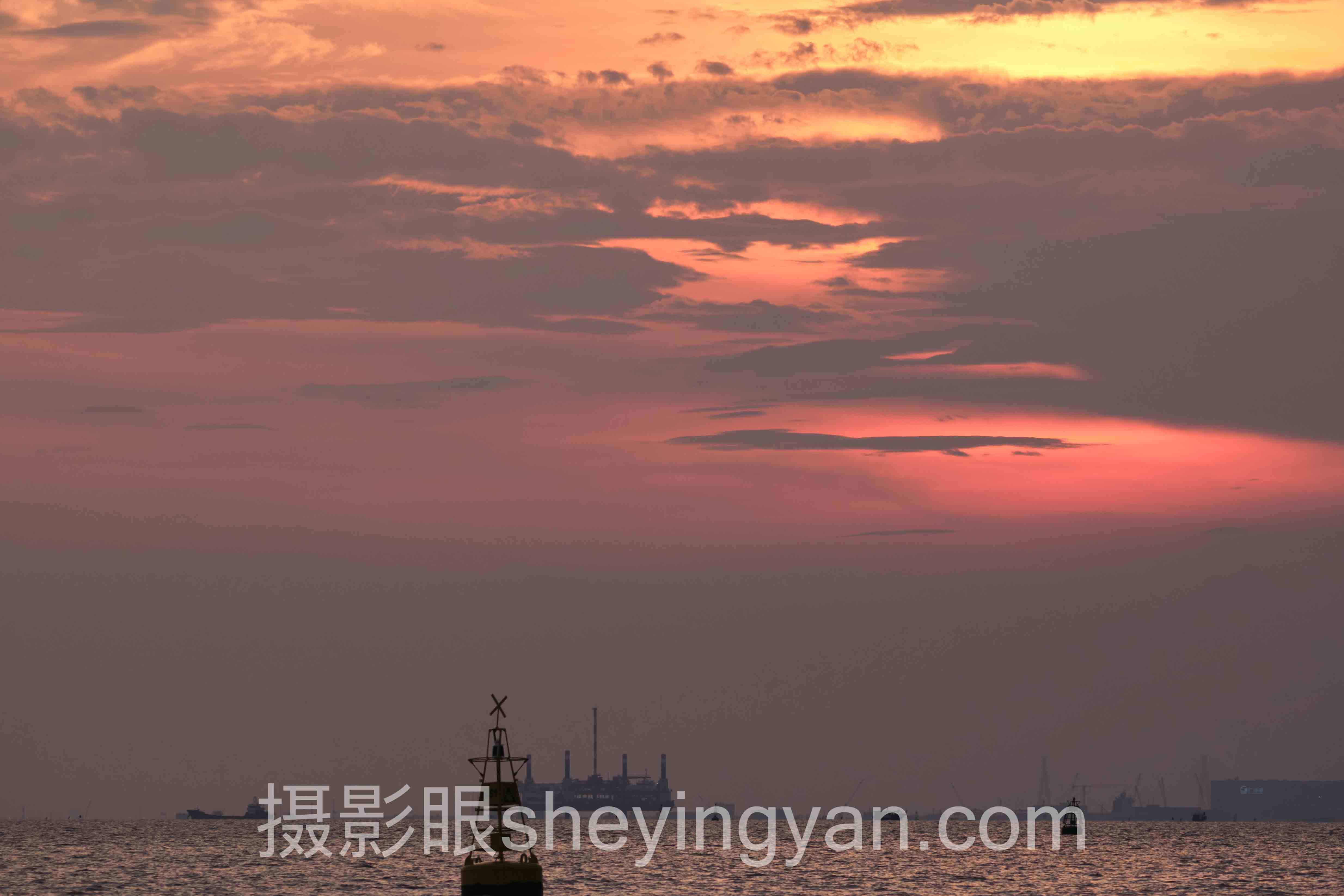 对话行业专家：抓拍技巧关键洞察与AI照片评分前瞻