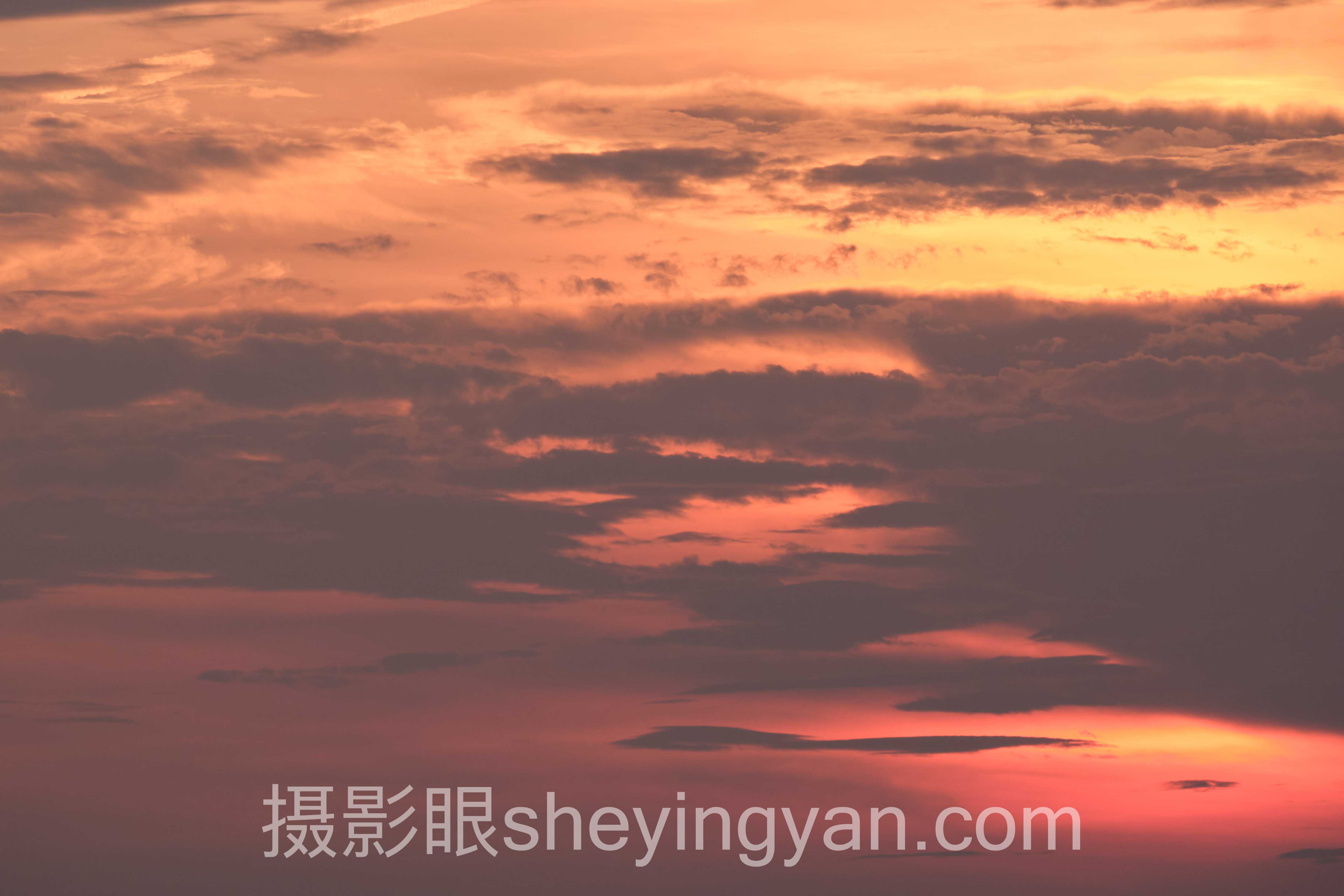 照片点评行业数据全景：6组数据揭示摄影眼成长真相