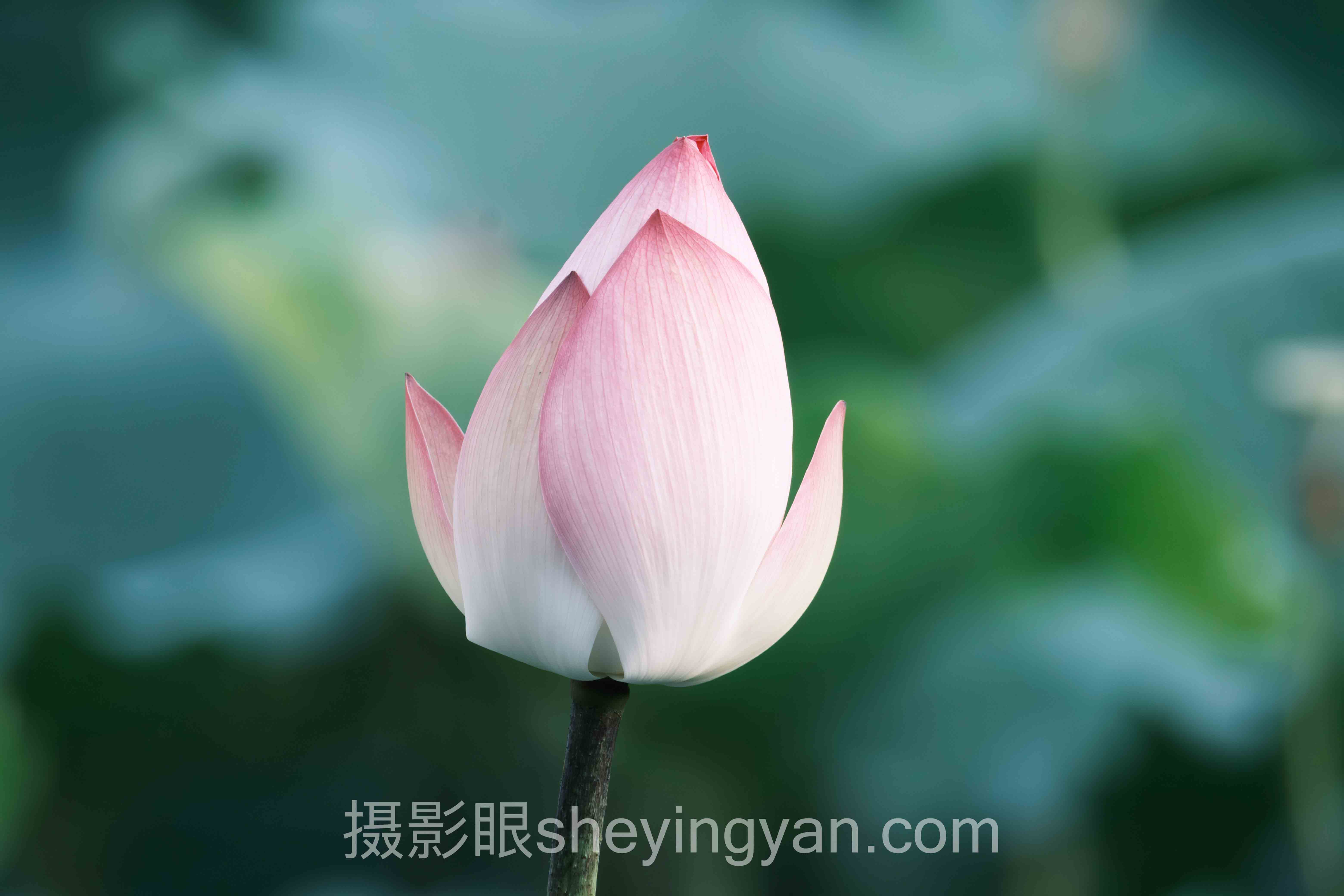 对话行业专家：满构图什么时候用的关键洞察与前瞻