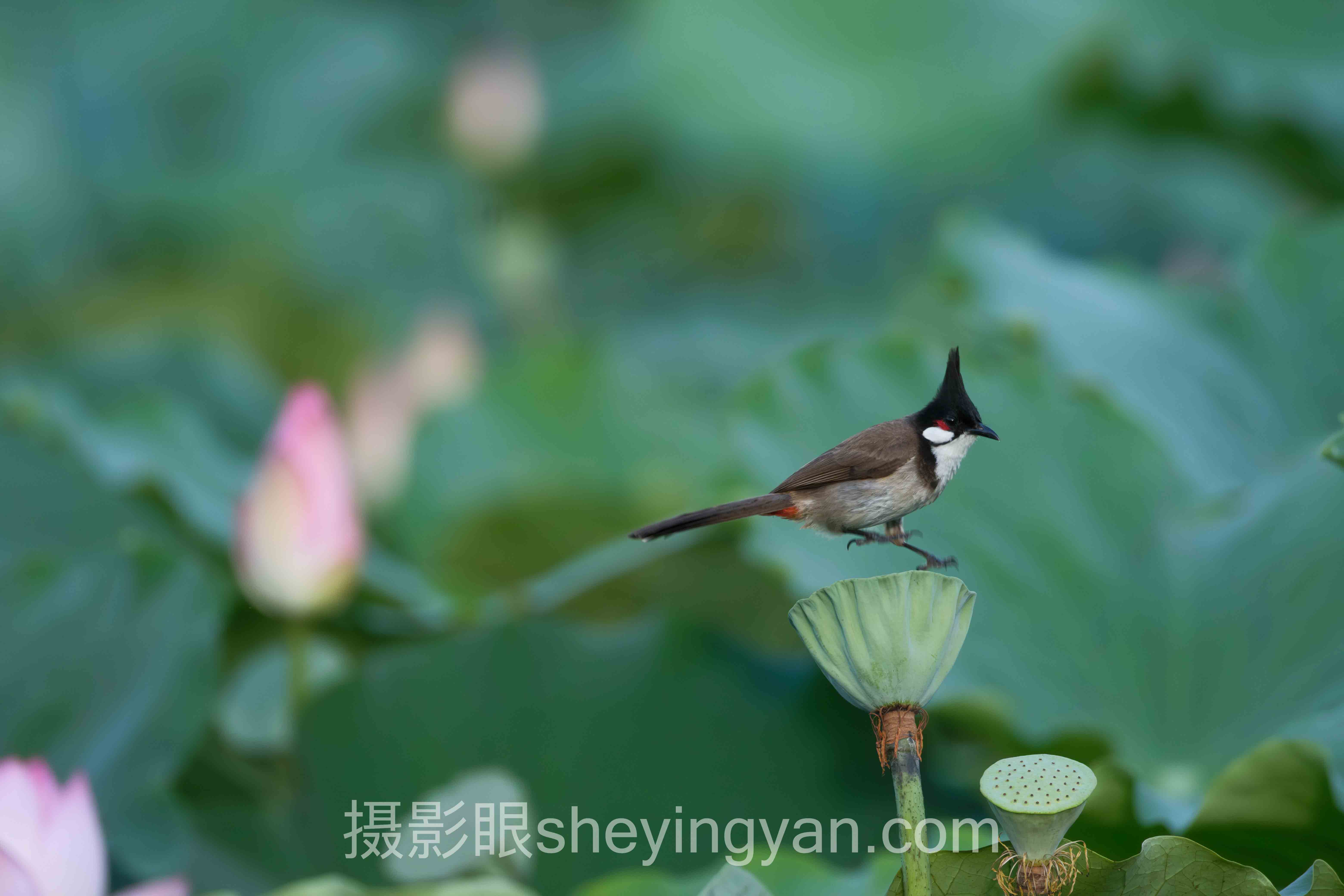 摄影新手每天练习什么全问答：你想知道的都在这里