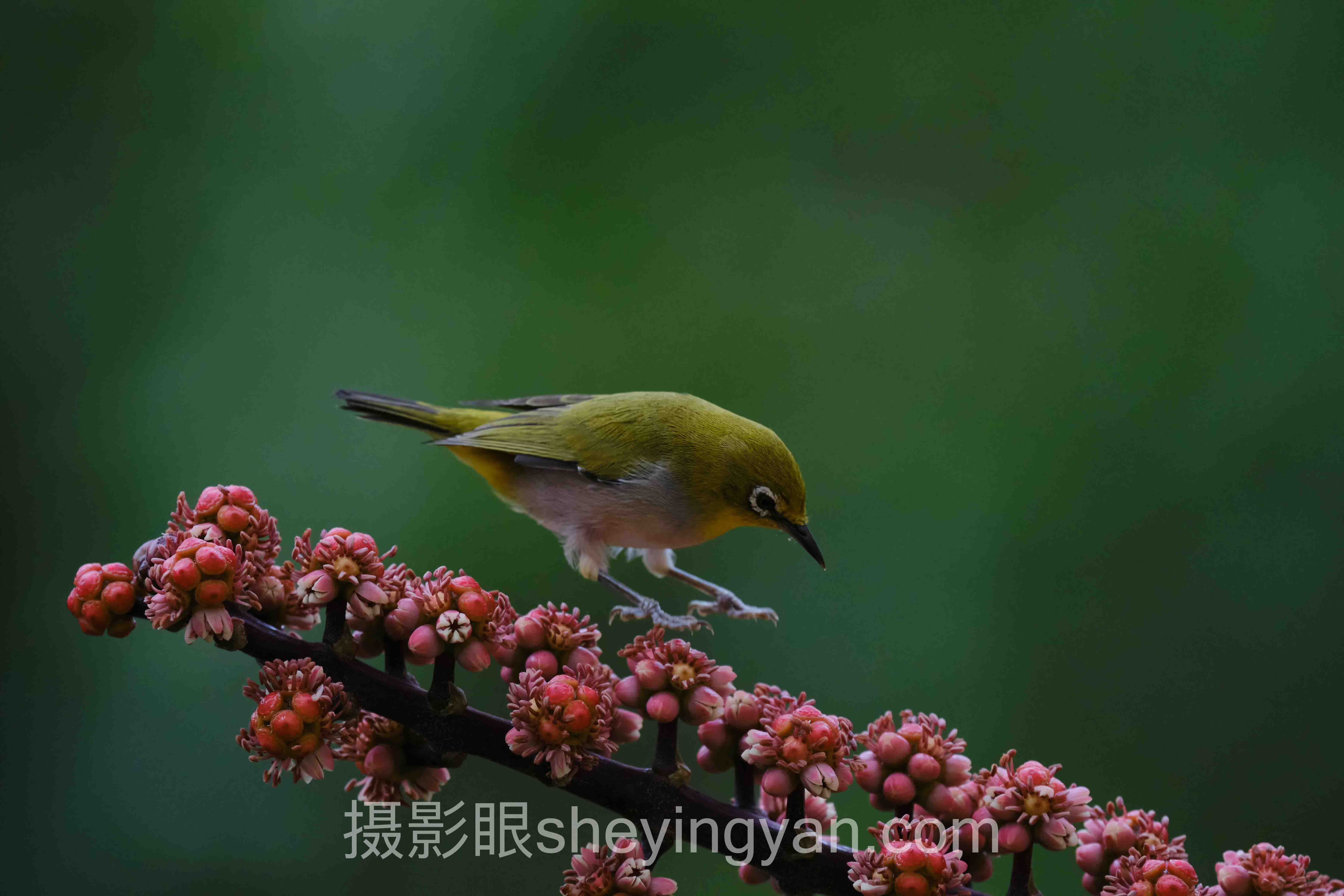 摄影新手入门需要买什么