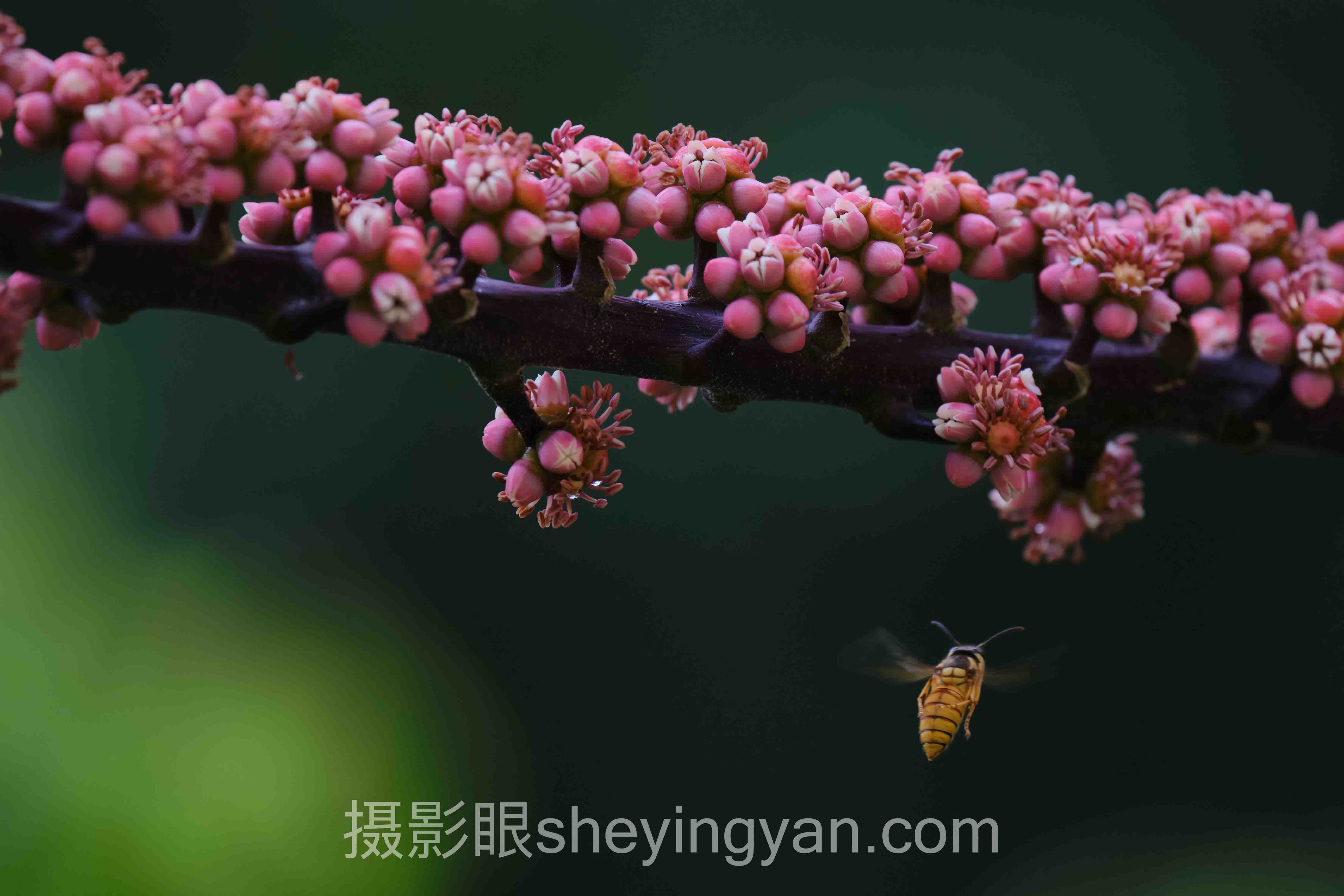 摄影新手常见误区