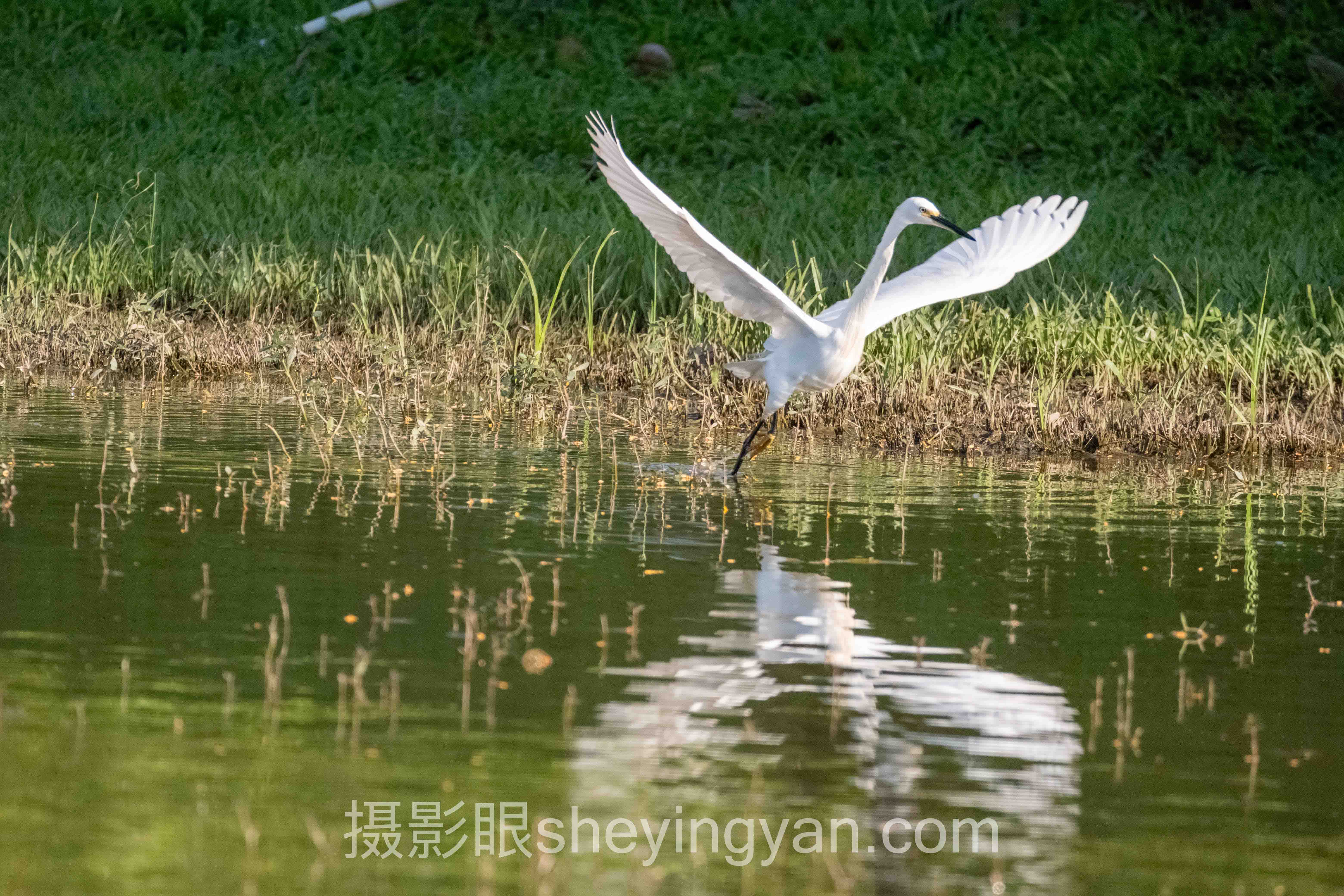 摄影眼7分作品全景解读：问题根源与破局之道