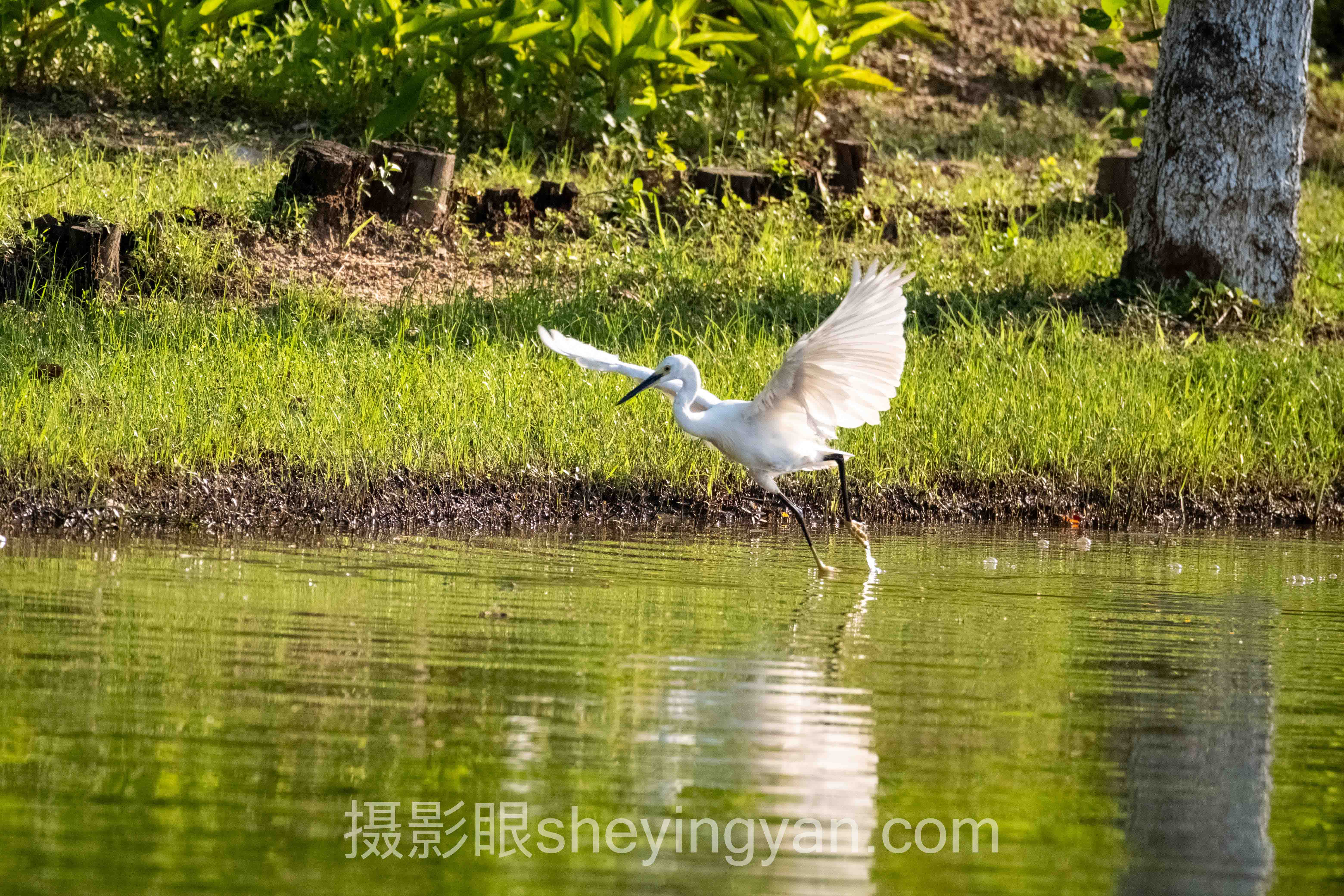 免费照片点评平台有哪些:入门到实战的避坑指南